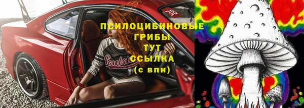 винт Алзамай