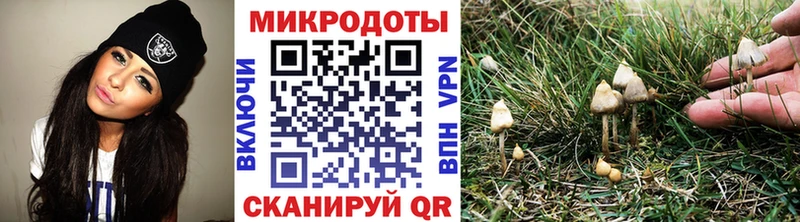 Галлюциногенные грибы Psilocybe  где купить наркотик  маркетплейс телеграм  Архангельск 